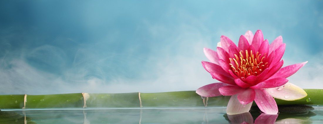 Lotusblüte auf Wasser